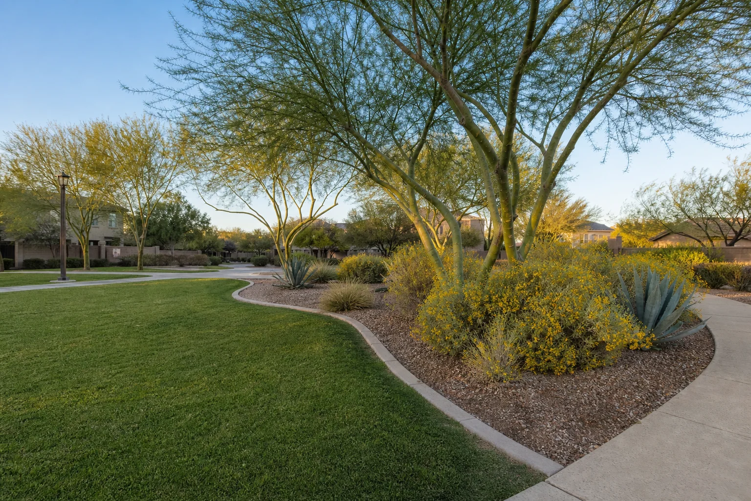 Manicured HOA community common area featuring native plants and a green lawn in Arizona